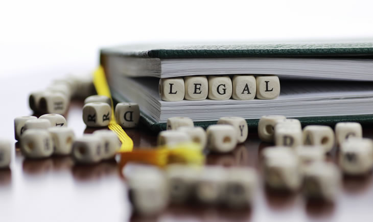 Terminología en Derecho Penal Económico